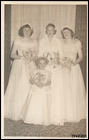 Click to display the file, TFH1321.jpg