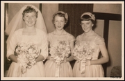Click to display the file, TFH1319.jpg